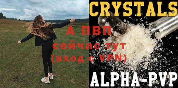 прущий лед Михайловск