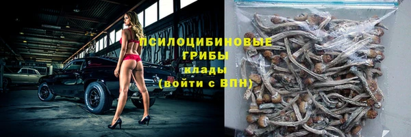 гидропоника Михайлов
