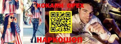 крисы Донской