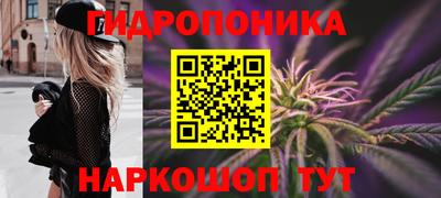 крисы Донской
