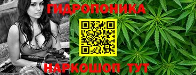 мдпв Донецк