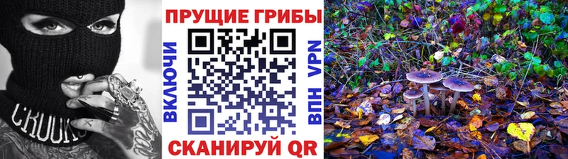 Галлюциногенные грибы GOLDEN TEACHER Шумерля